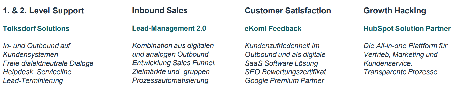 Leadmanagement Tolksdorf Leistungsübersicht