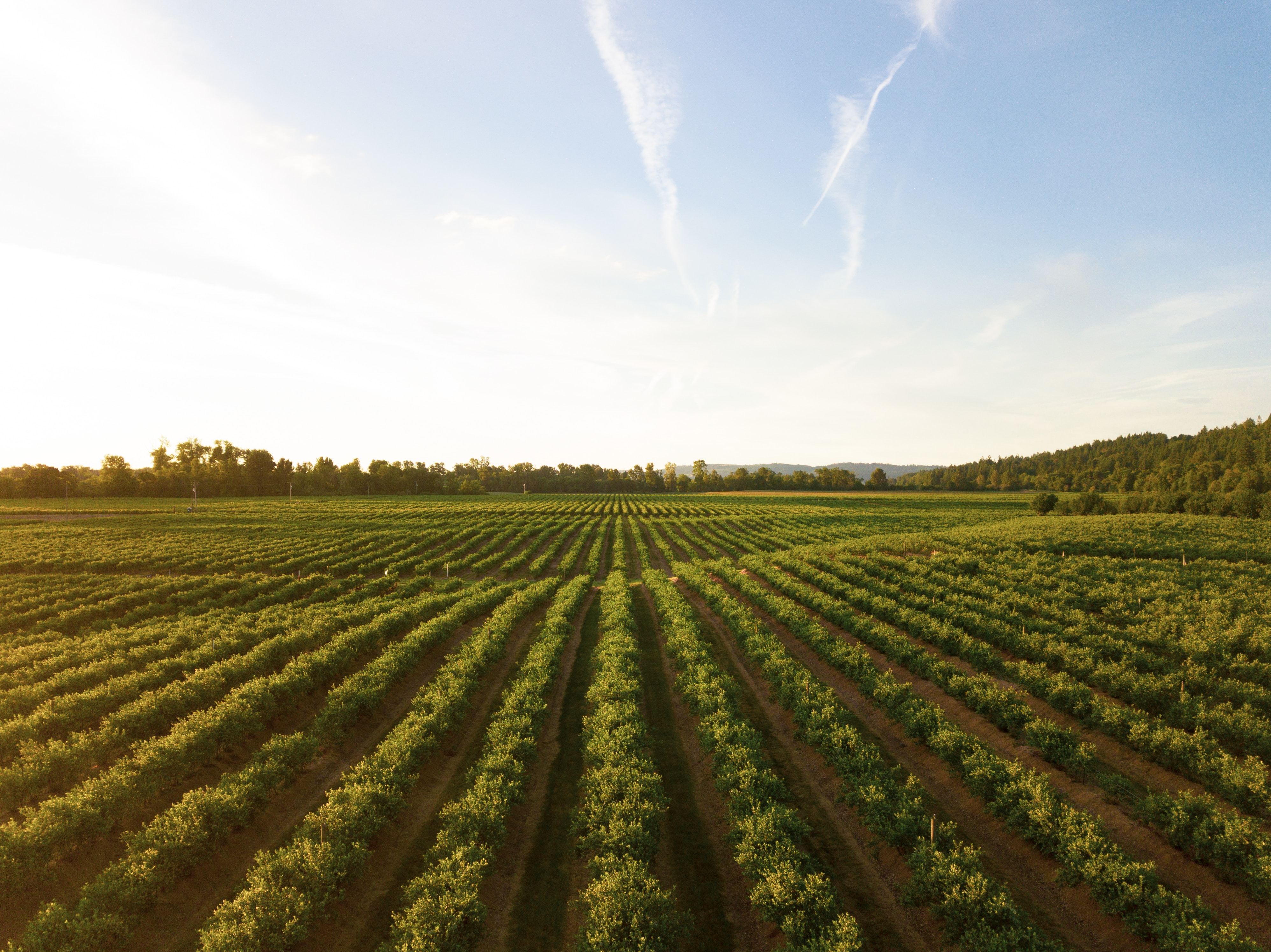 Inbound Landwirtschaft Lebensmittel